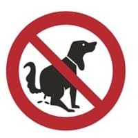 Hundekot.jpg