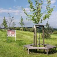 Baumpark