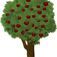 tree-923776_1280.png